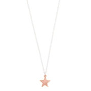 STAR | NECKLACE | SHARD | VEGAN HAVEN