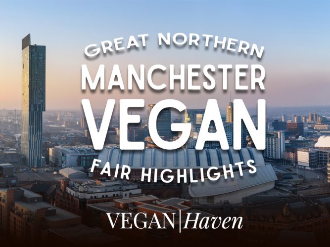 Manchester Vegan Fair Highlights