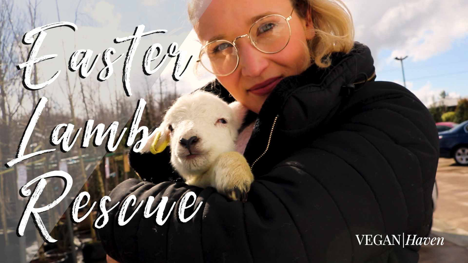 Easter Lamb Rescue