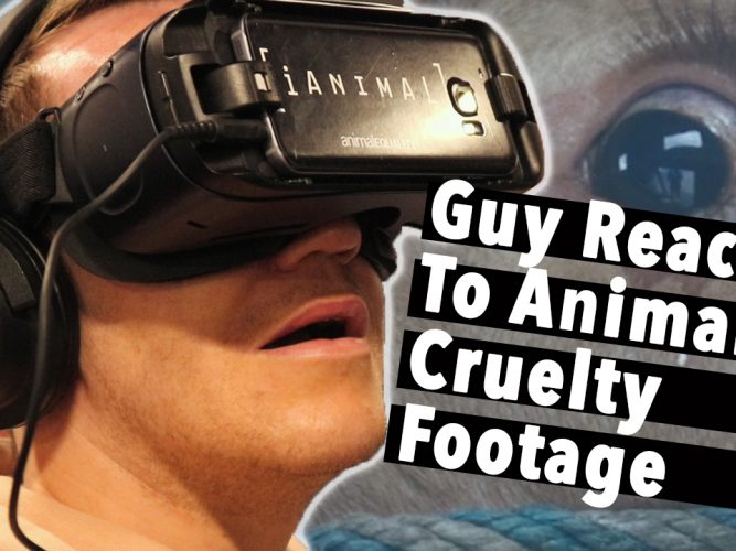 Guy Reacts To Animal Cruelty Footage
