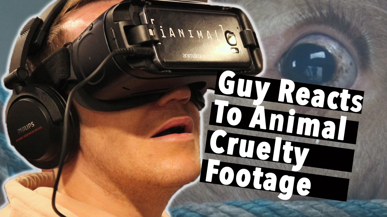 Guy Reacts To Animal Cruelty Footage