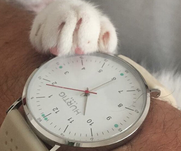 Hurtig Lane | Attiva Collection