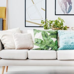 All Cushions