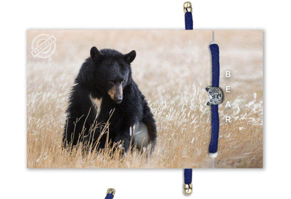 BEAR | BRACELET | B-O-L-D