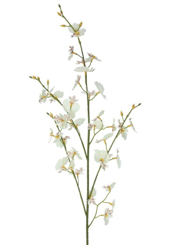 93cm Dancing Ladies Orchid