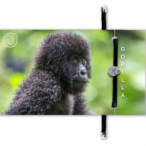 GORILLA | BRACELET | B-O-L-D