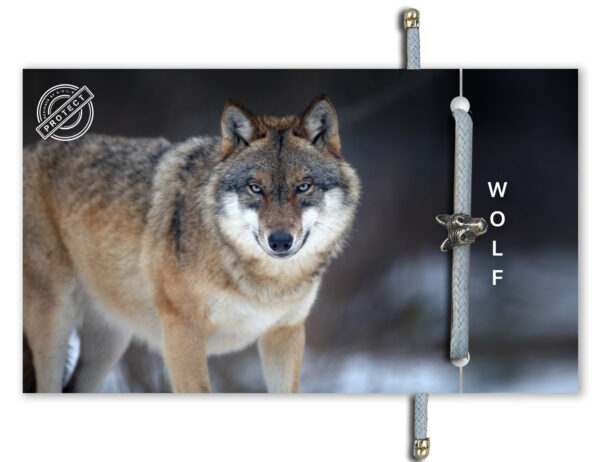 WOLF | BRACELET | B-O-L-D