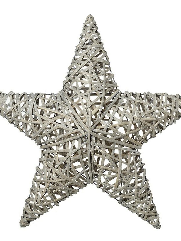 Cream Basket Star