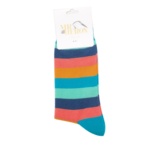 Mr Heron Turquoise Rainbow Stripe Socks