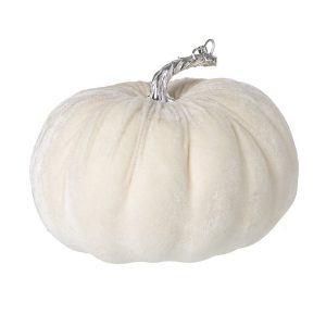 White Velvet Pumpkin With Stem