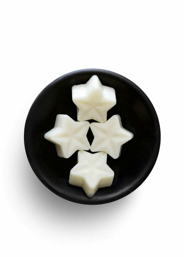 Black Pomegranate Soy Wax Melt